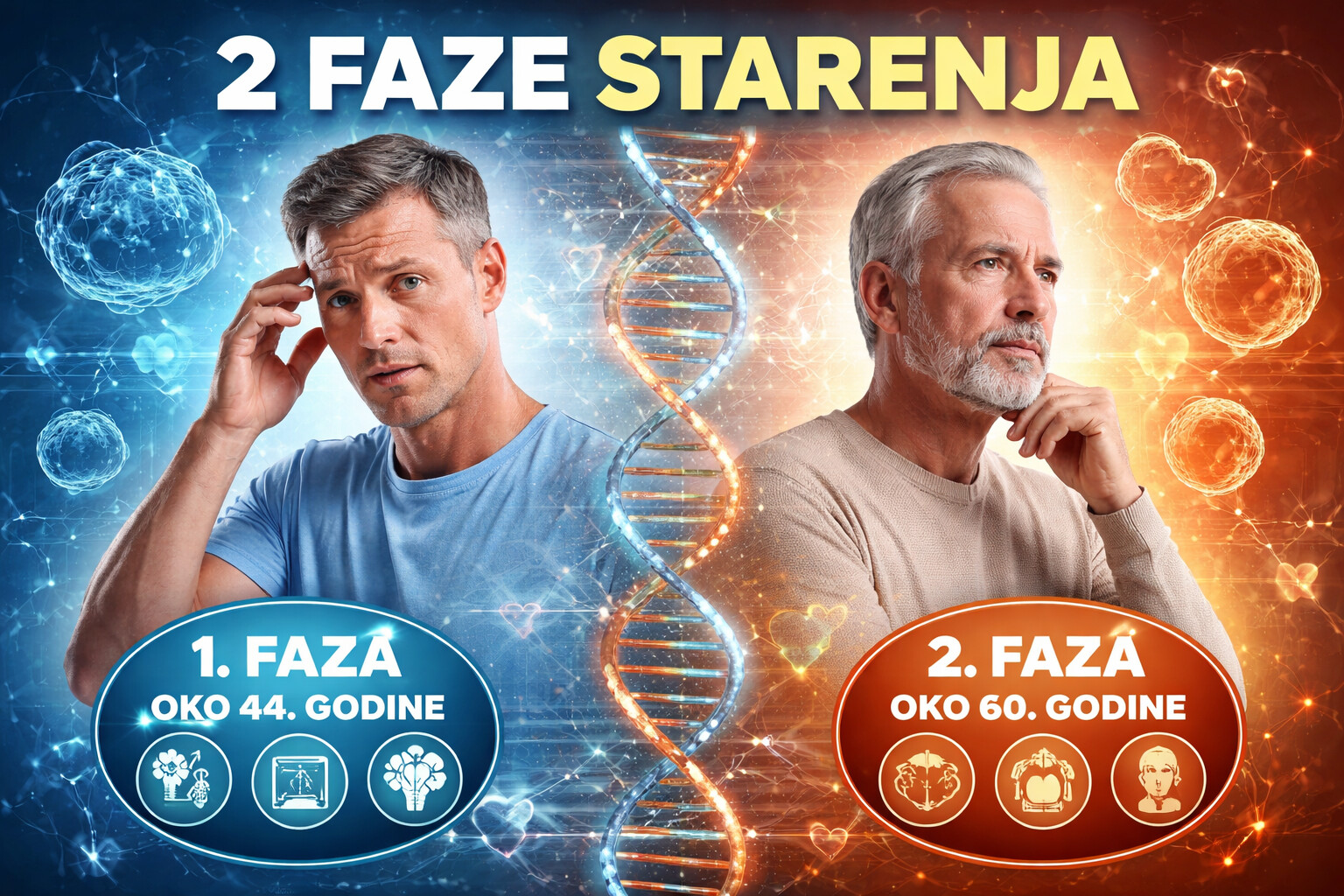 Dvije epizode ubrzanog starenja: nova otkrića o tome kada naše tijelo najviše stari